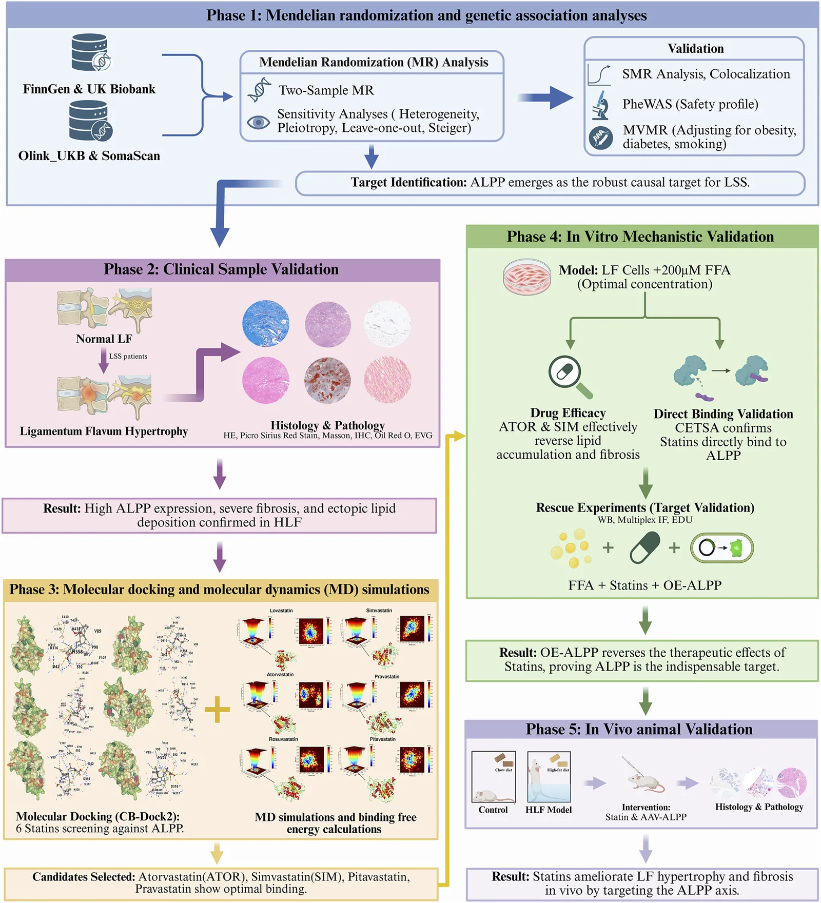 Figure 1. Overview of the design and methods used in this Mendelian randomization study.