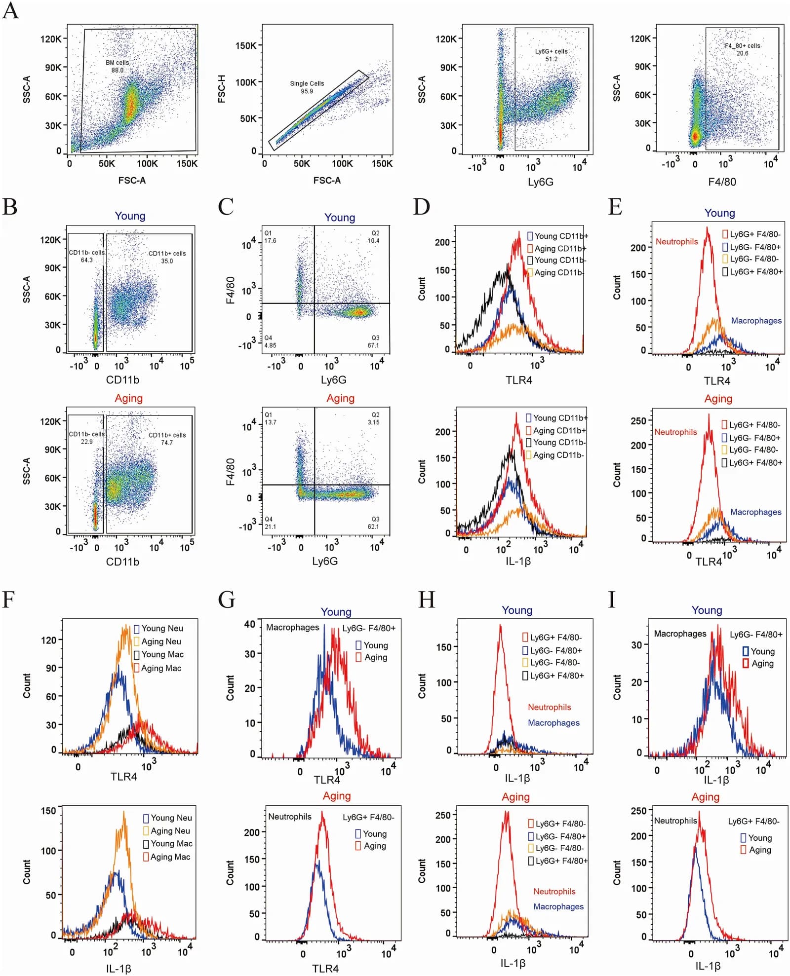 Fig. 1. Flow-cytometric analysis of TLR4 and IL-1β expression in bone marrow cells.
