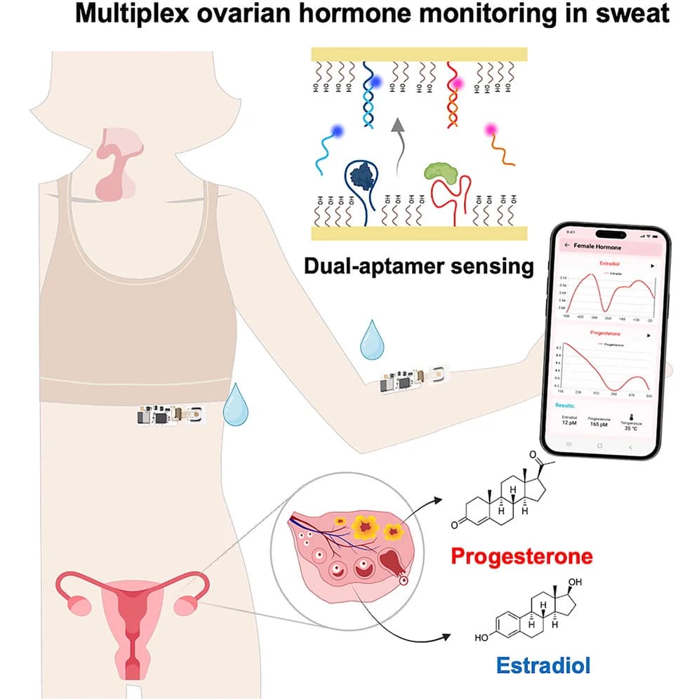 Graphical abstract from Device
