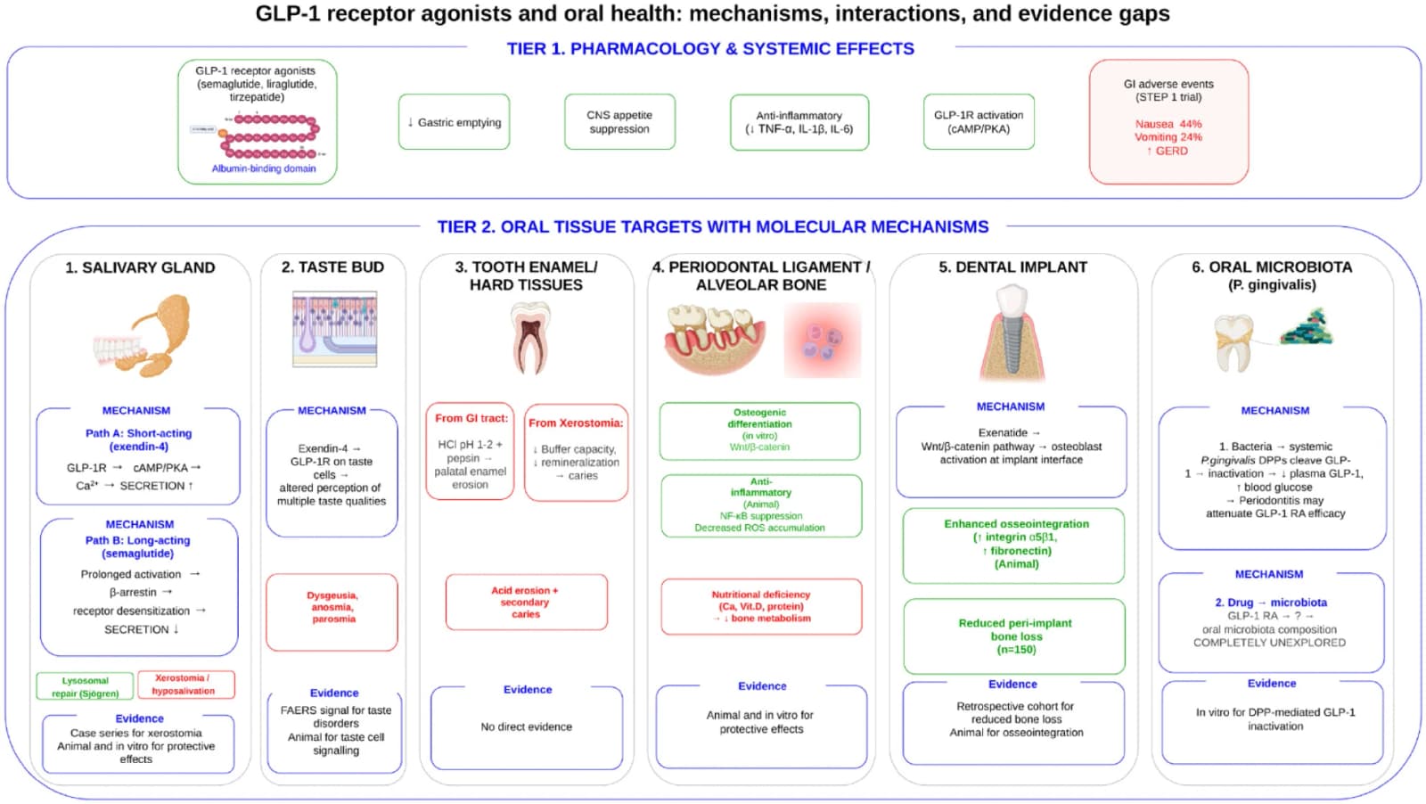 Figure 1 from Journal of Dental Research