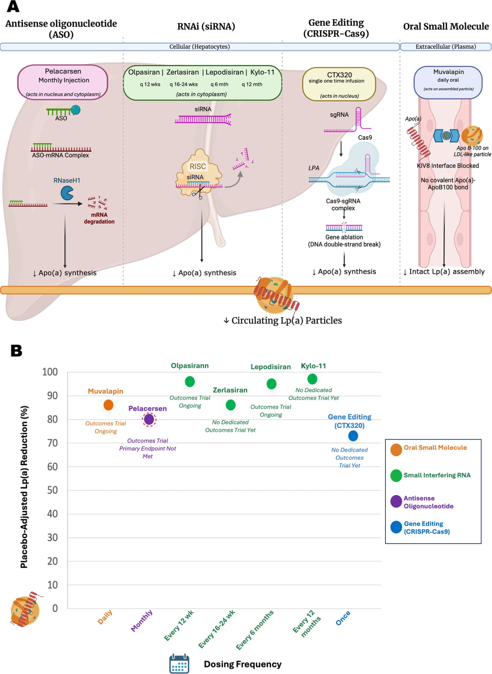 Figure 1 from Current Atherosclerosis Reports