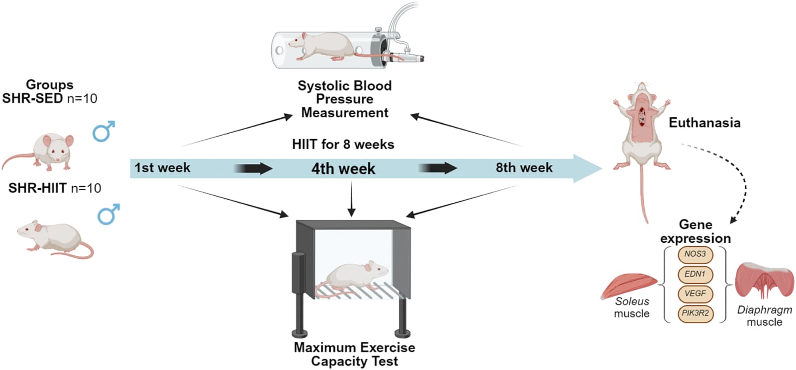 Figure 1 from PLOS One