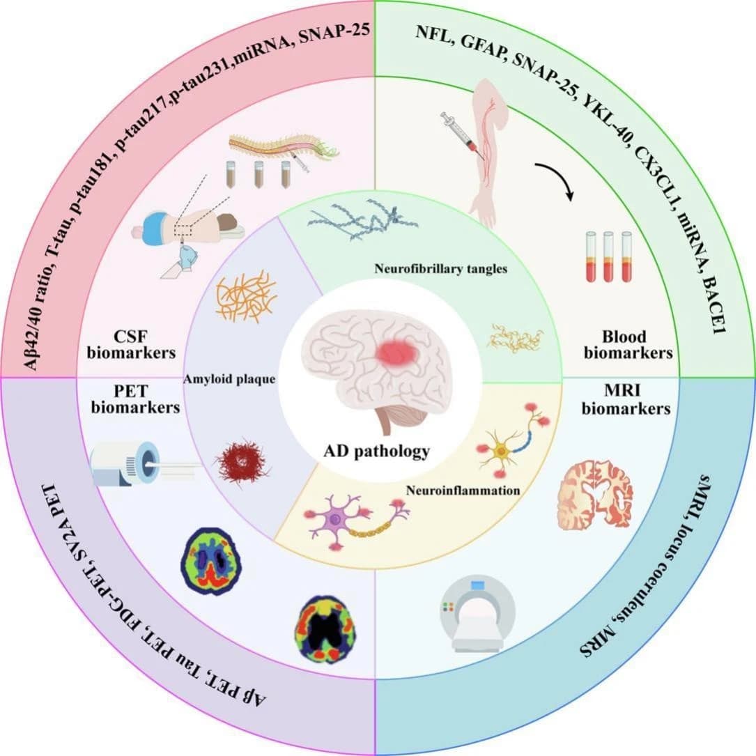 Graphical abstract from International Immunopharmacology