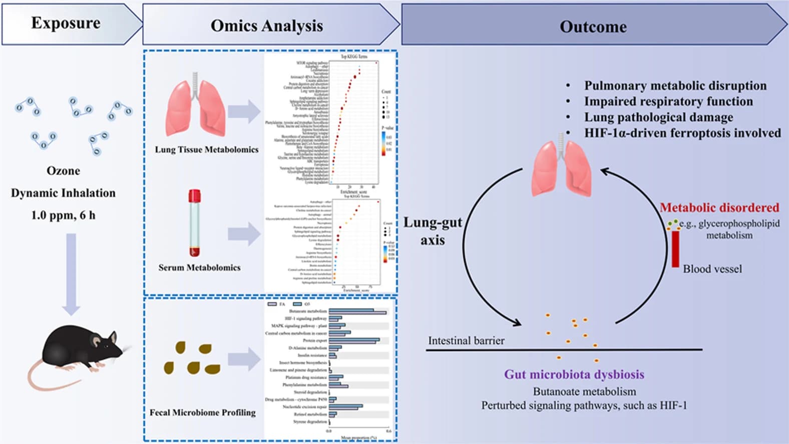 Graphical abstract from Environmental Pollution
