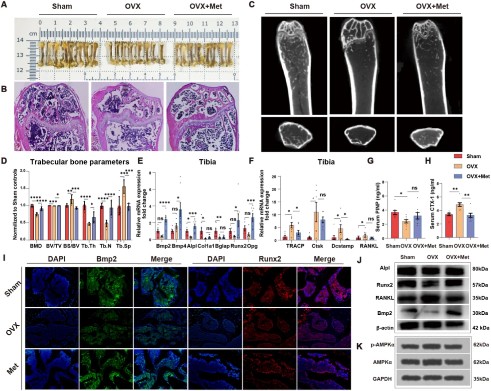 Figure 1 from European Journal of Pharmacology