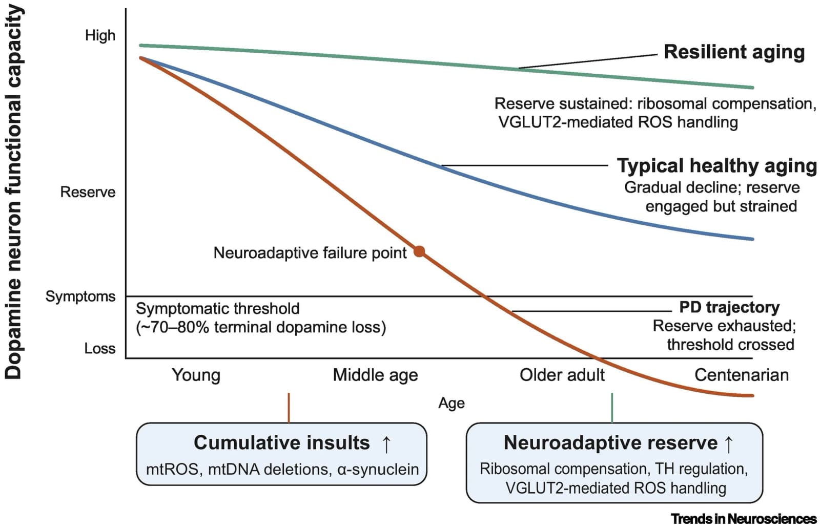 Figure 1 from Trends in Neurosciences