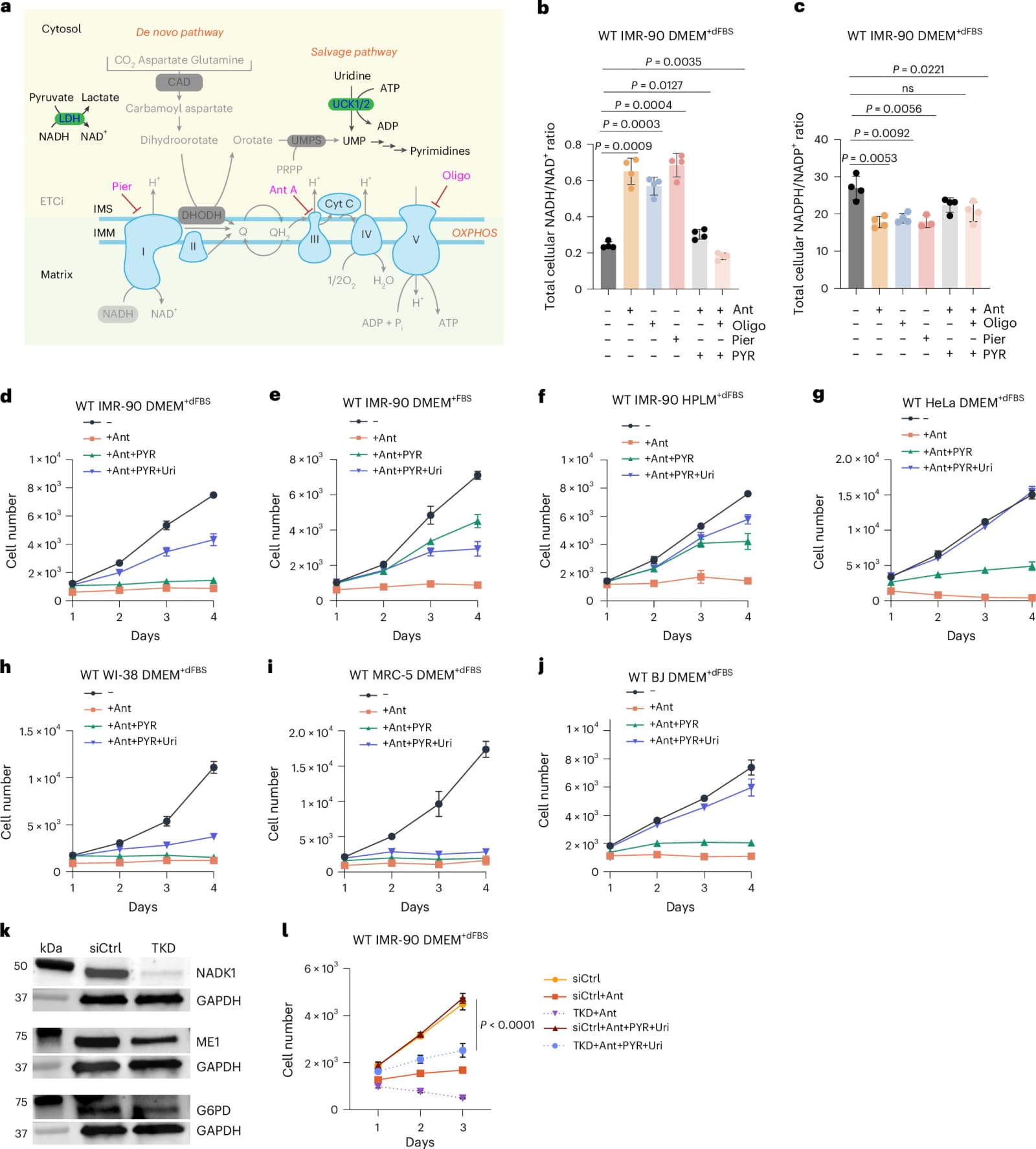 Figure 1 from Nature Metabolism