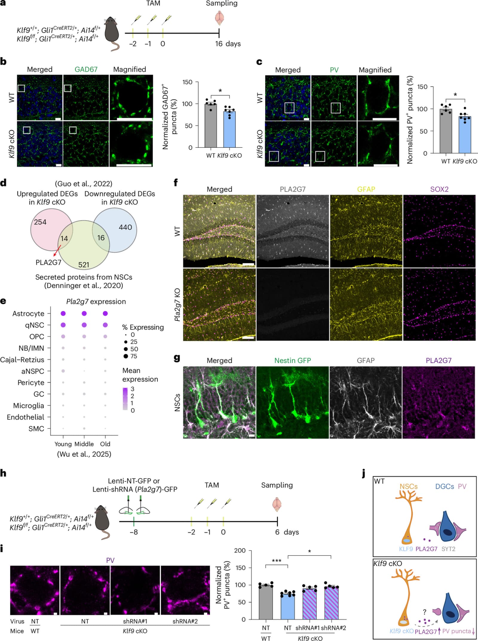 Figure 1 from Nature Aging