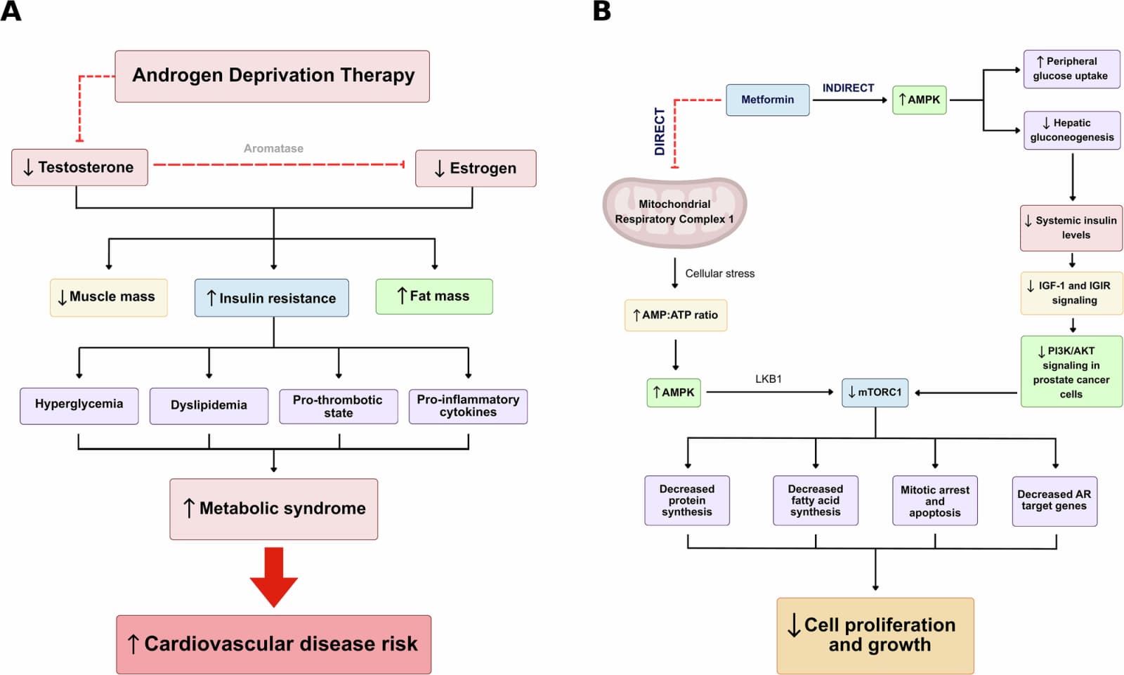 Figure 1 from Prostate Cancer and Prostatic Diseases