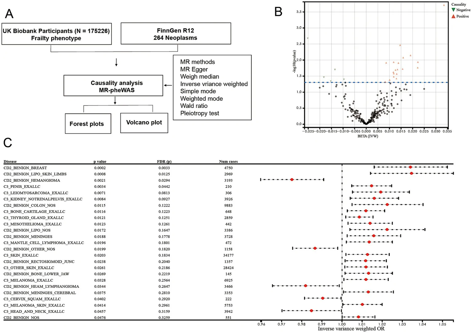 Figure 1. Causal effects of cancer-related diseases on frailty.