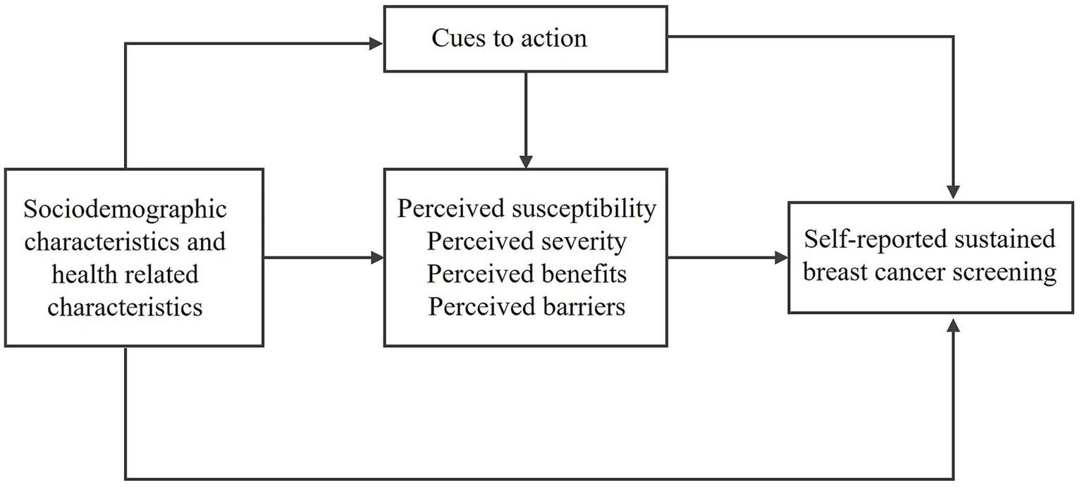 Figure 1. Hypothetical model of this study.
