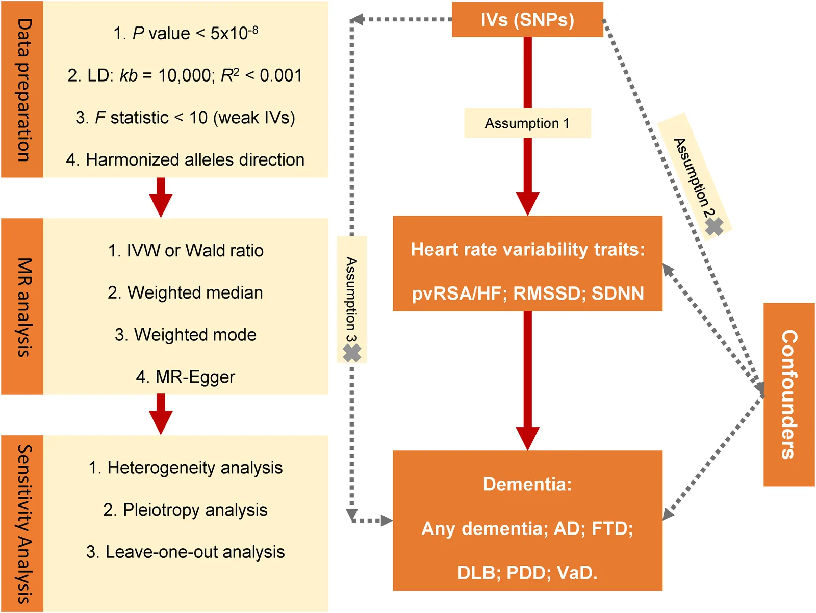 Figure 1. Schematic of the study design.