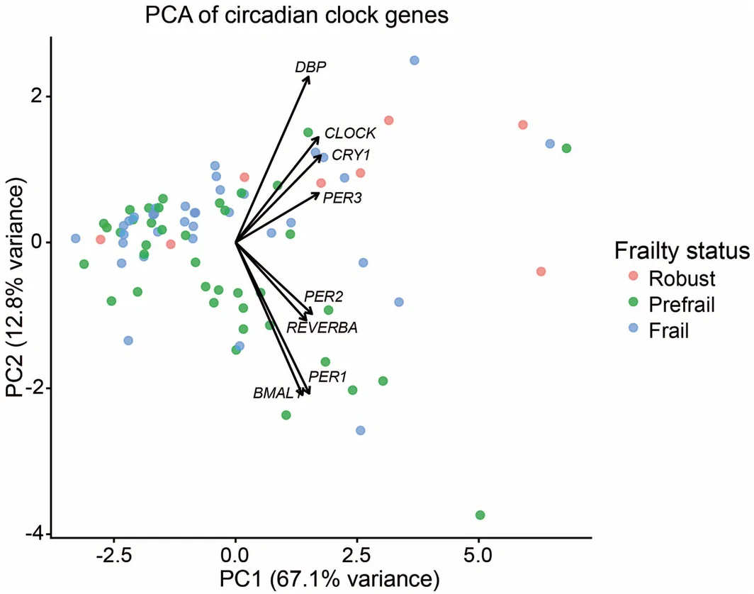 Figure 1. Principal Component Analysis (PCA) biplot of circadian clock gene expression.