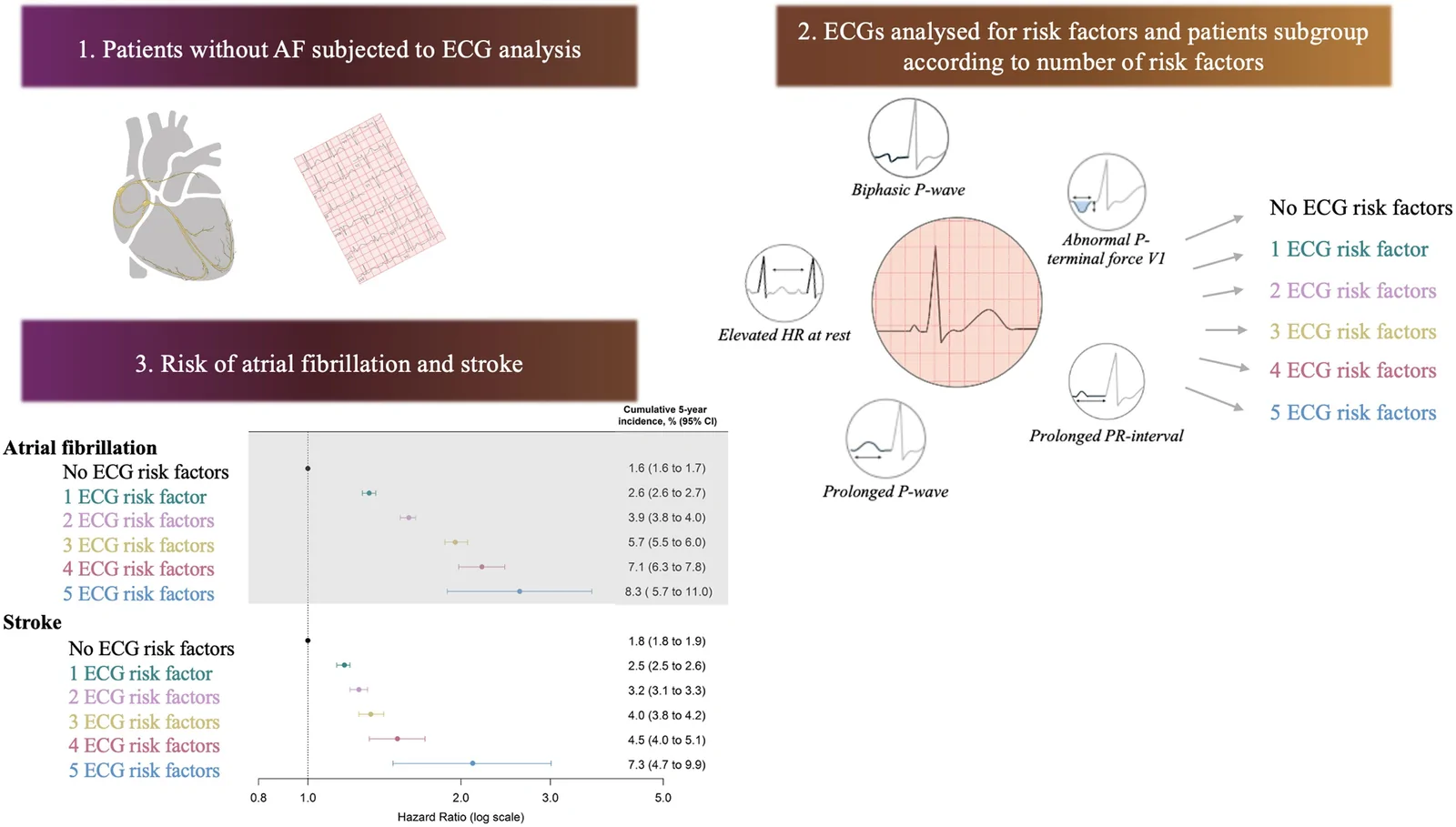 Graphical abstract from European Heart Journal Open
