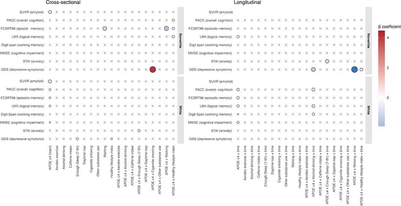Figure 1. Overview of associations of APOE ε4 and lifestyle factors with cognitive, mood, and anxiety outcomes in cross‐sectional (left) and longitudinal analyses (right).