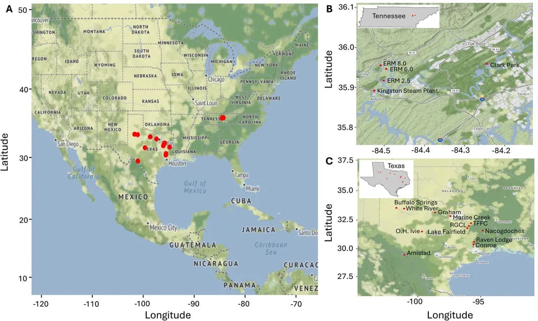 Figure 1. Sampling locations for LBc specimens.