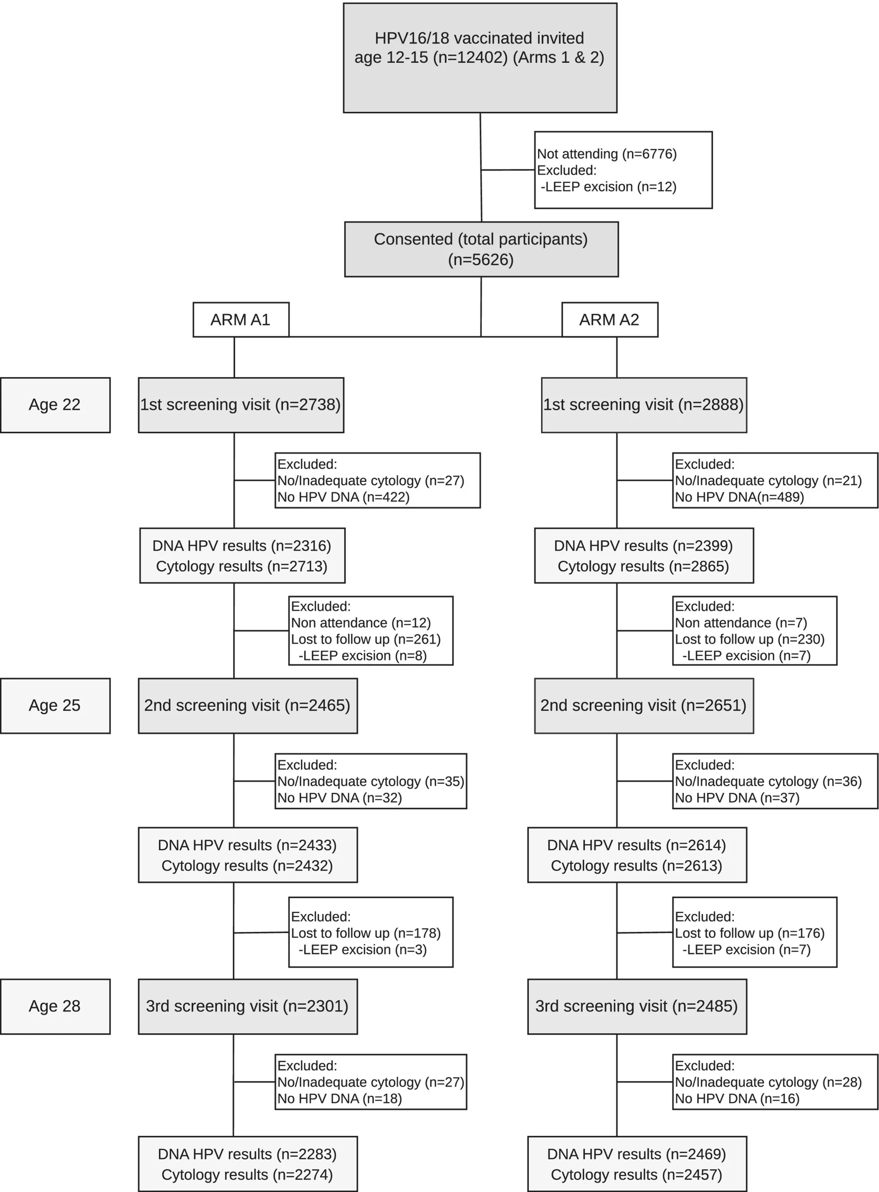 Graphical abstract from International Journal of Cancer