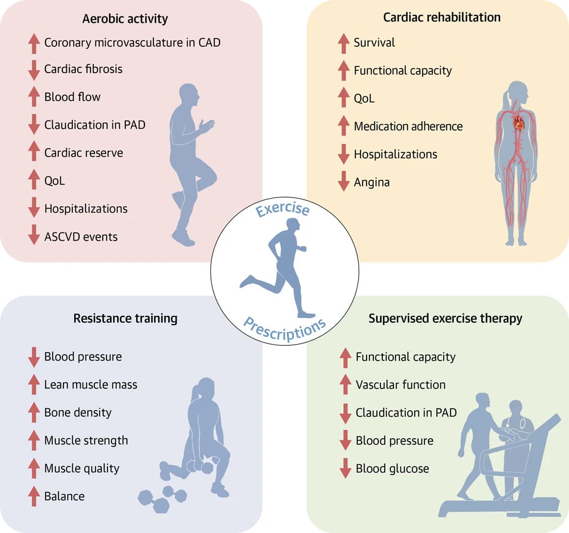 Graphical abstract from Journal of the American College of Cardiology