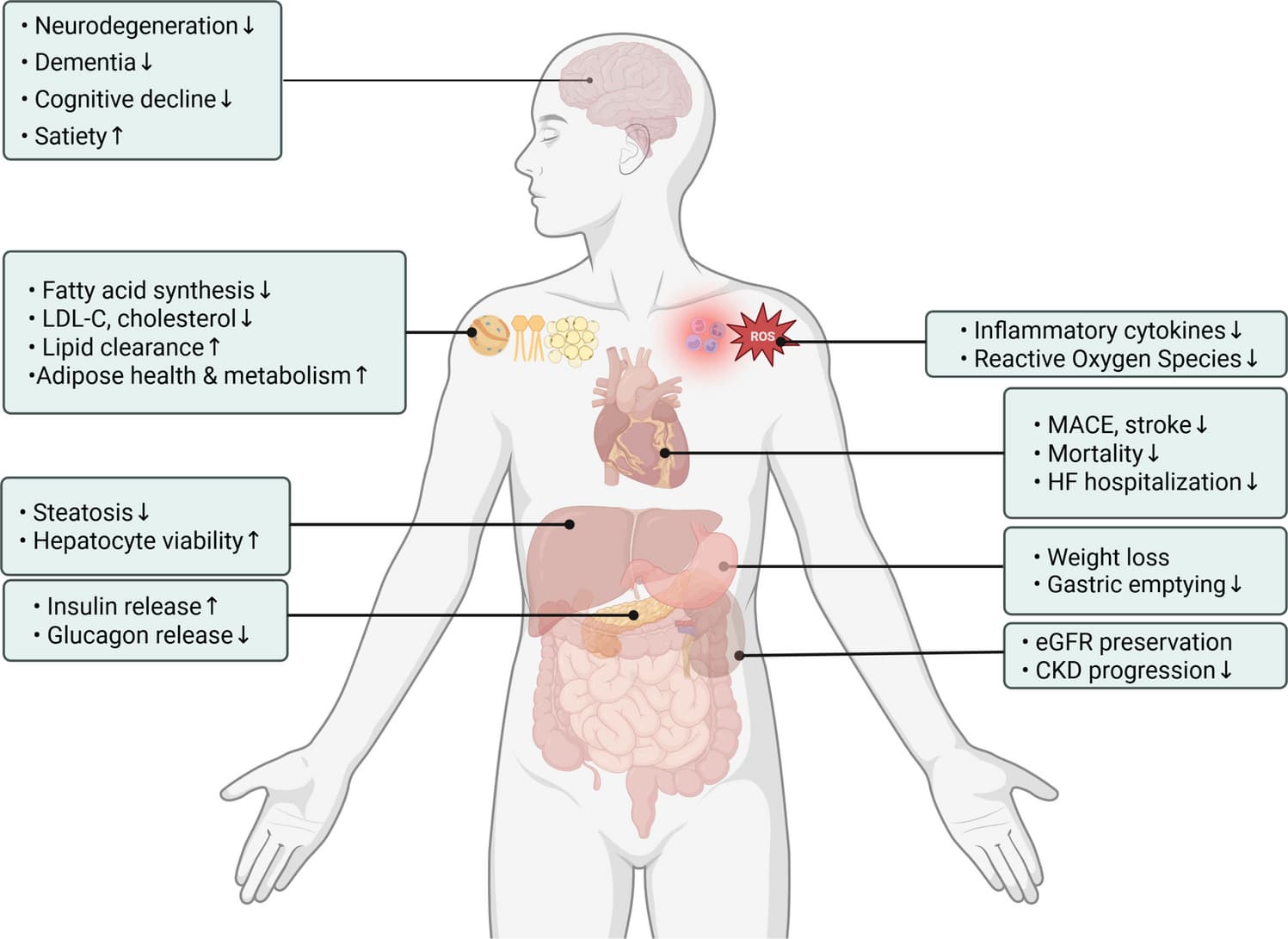 Figure 1 from Current Atherosclerosis Reports