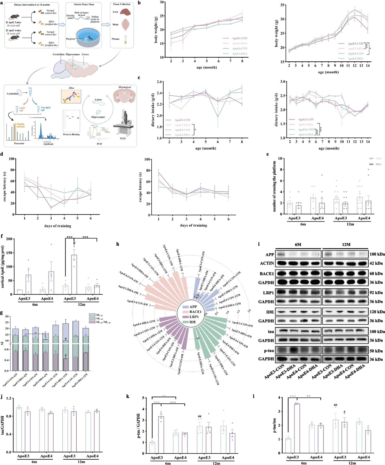Figure 1 from Molecular Biomedicine