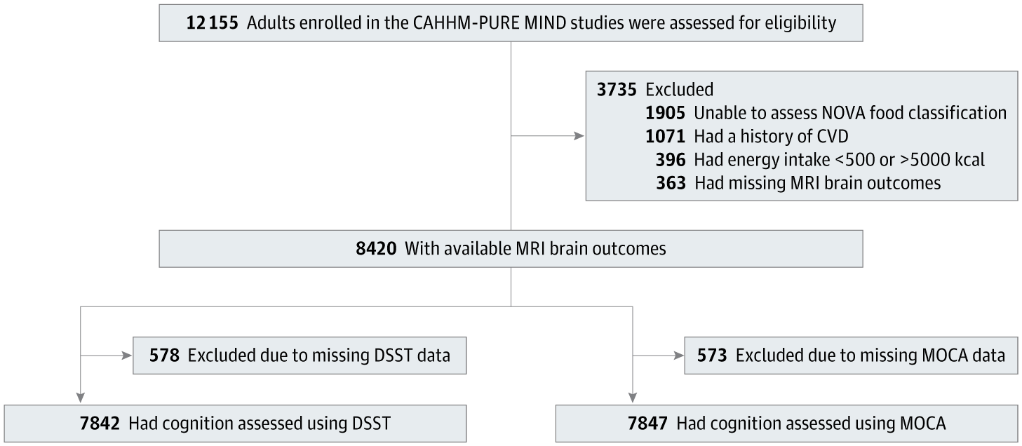 Figure 1 from JAMA Network Open