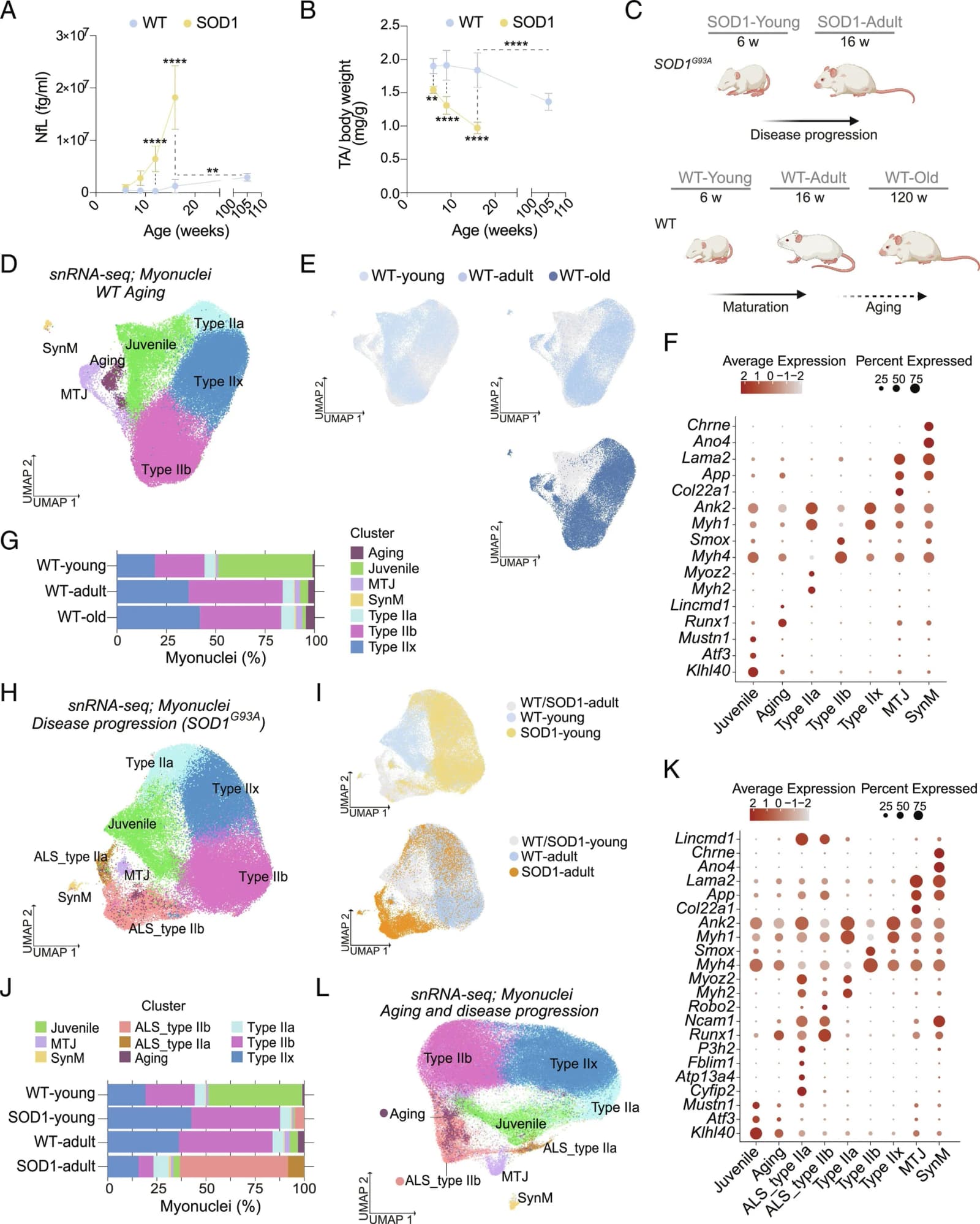 Figure from PNAS