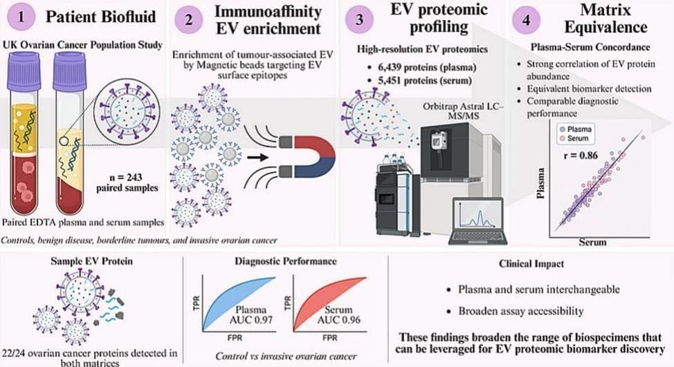 Graphical abstract from Gynecologic Oncology