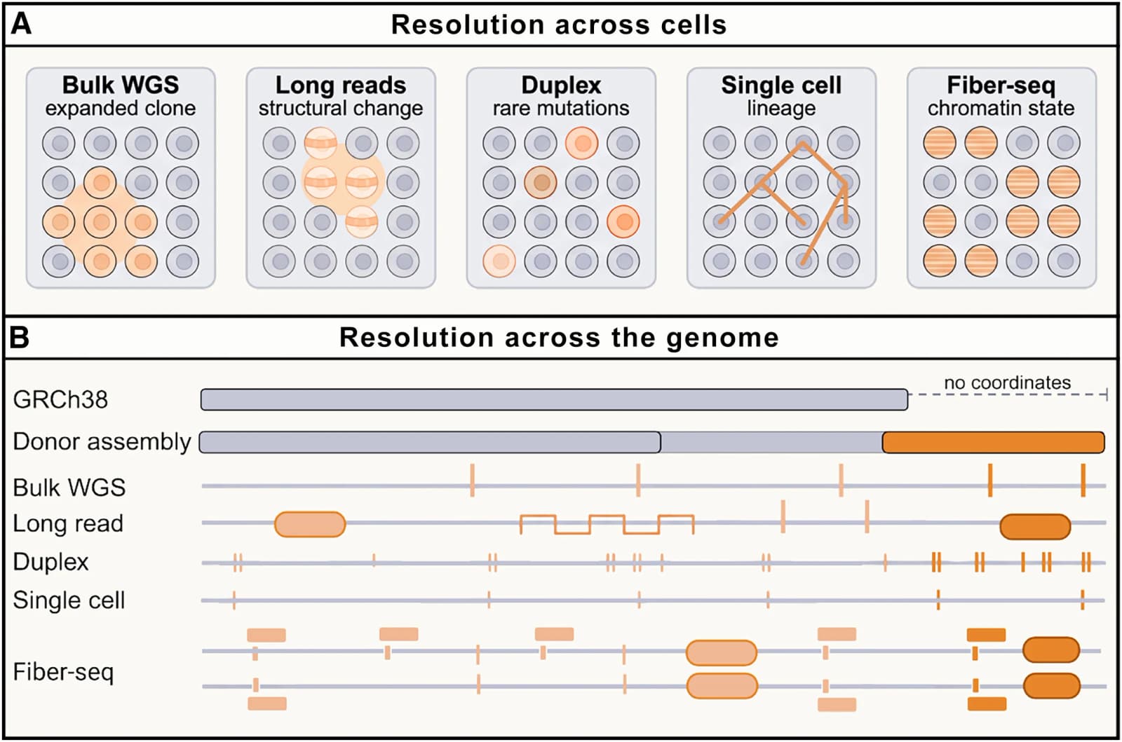 Figure 1 from Cell