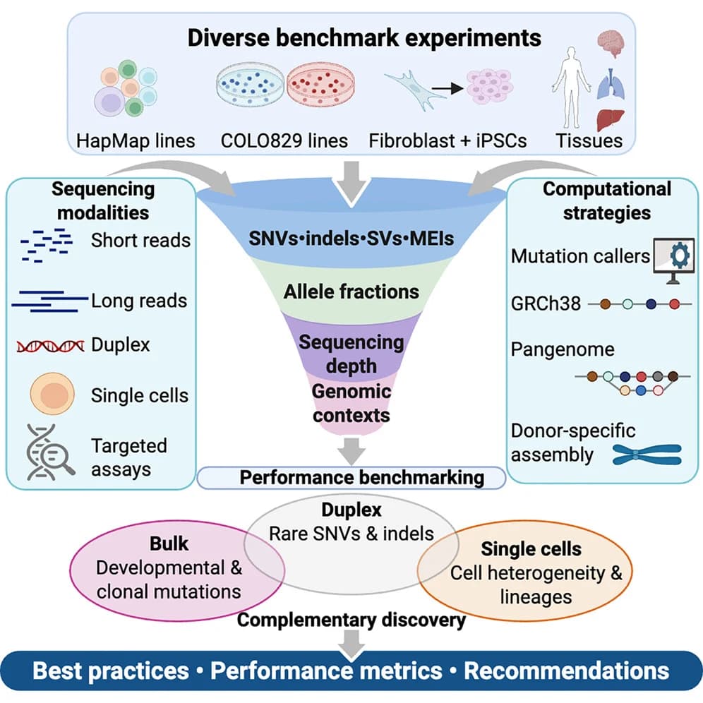 Graphical abstract from Cell
