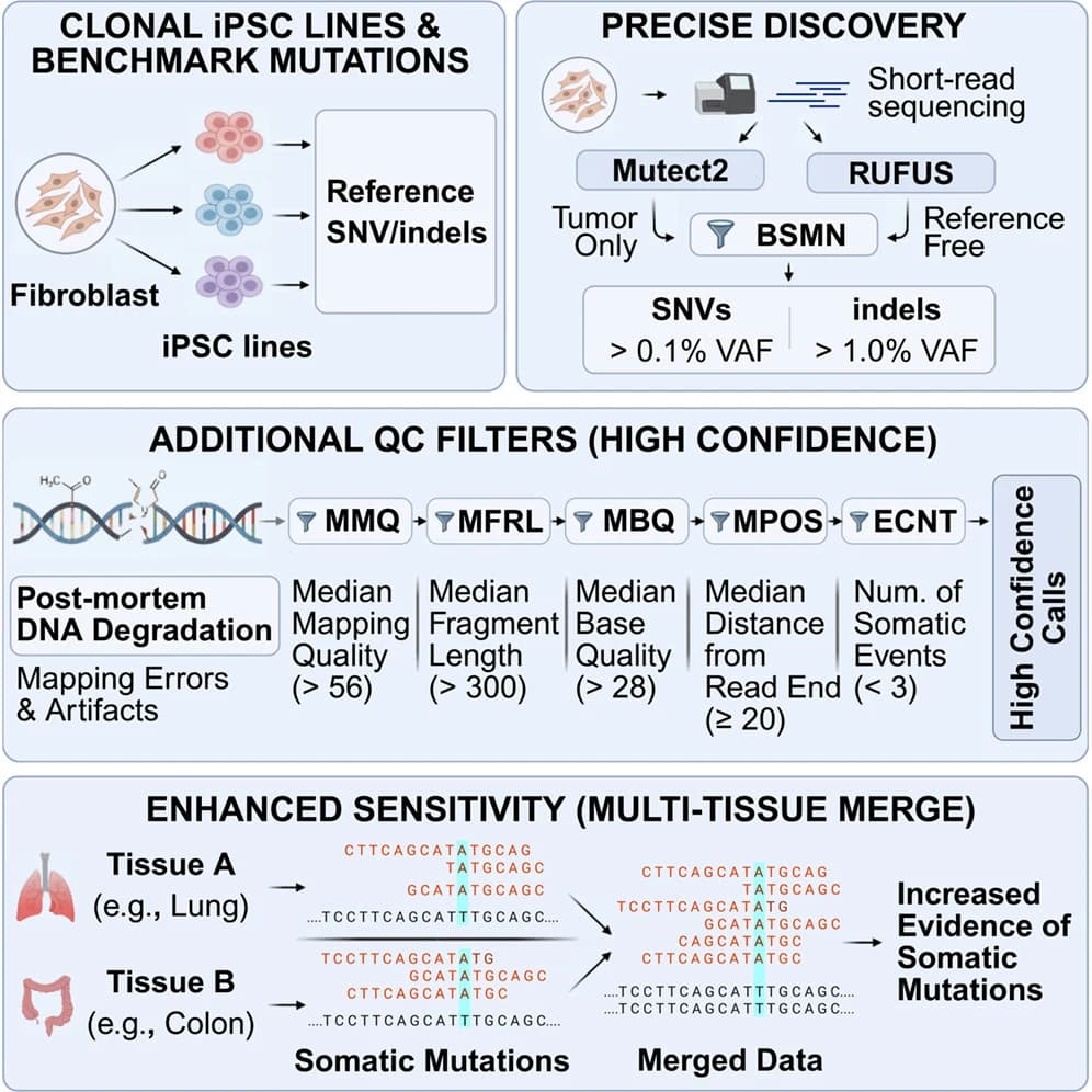 Graphical abstract from American Journal of Human Genetics