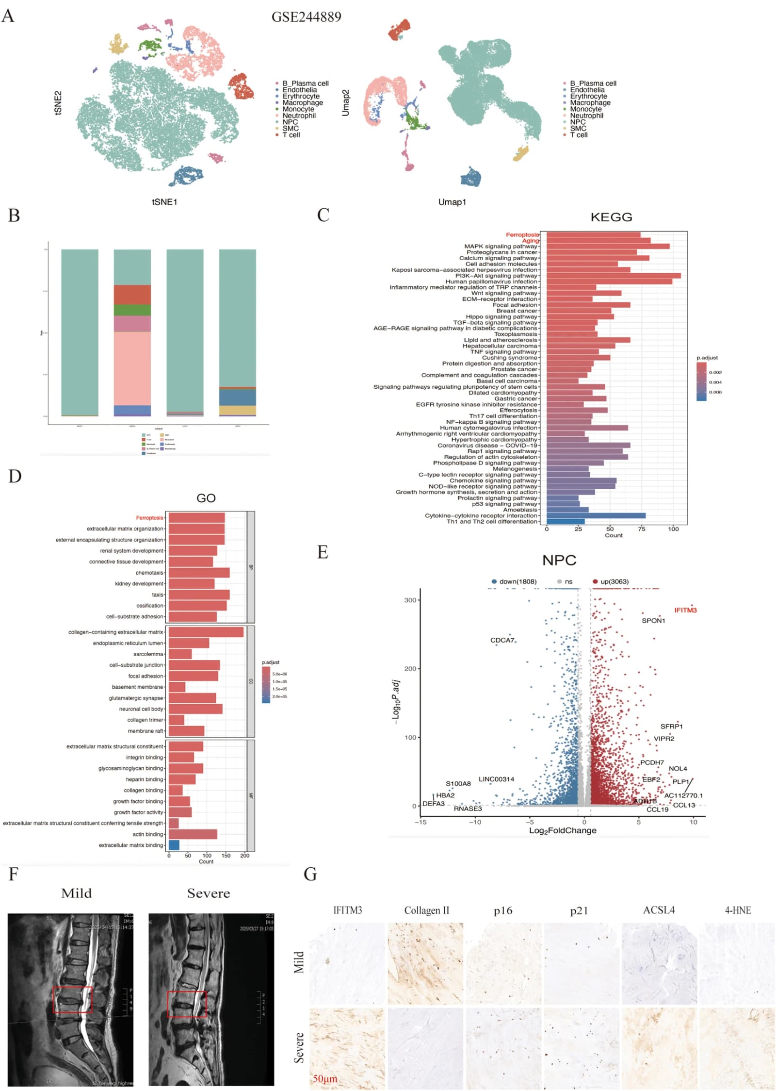 Figure 1 from Life Sciences
