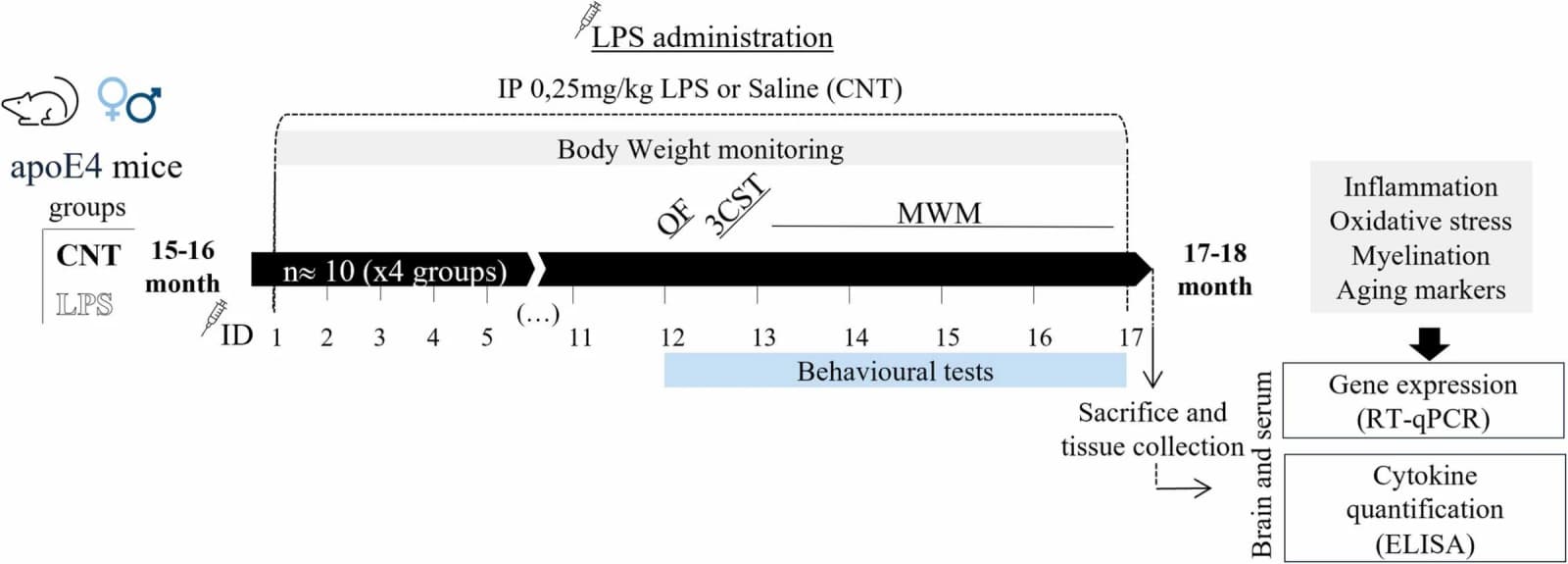Figure 1 from Behavioural Brain Research