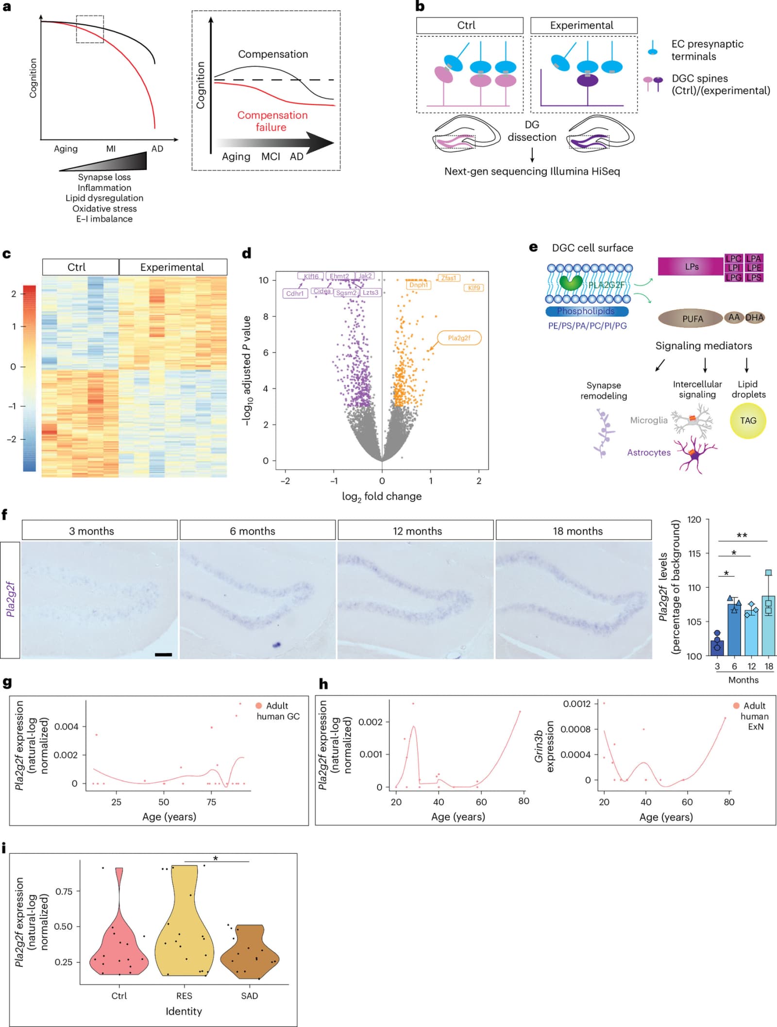 Figure 1 from Nature Neuroscience