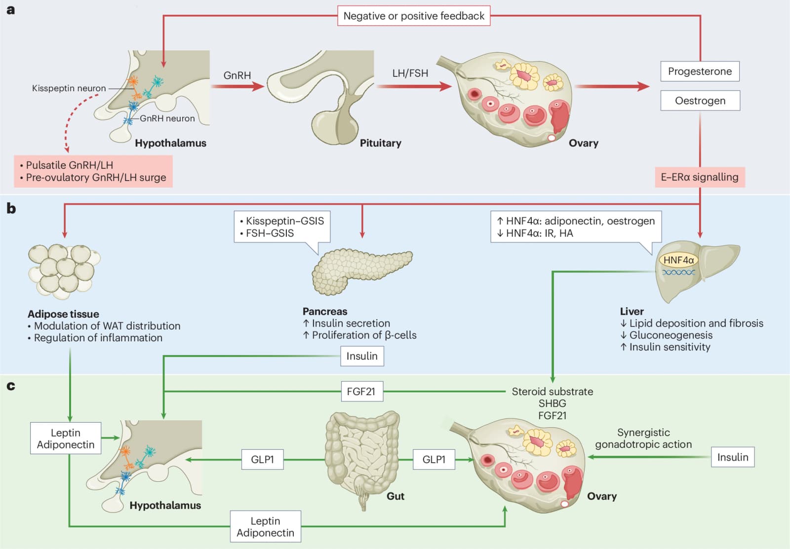 Figure 1 from Nature Metabolism