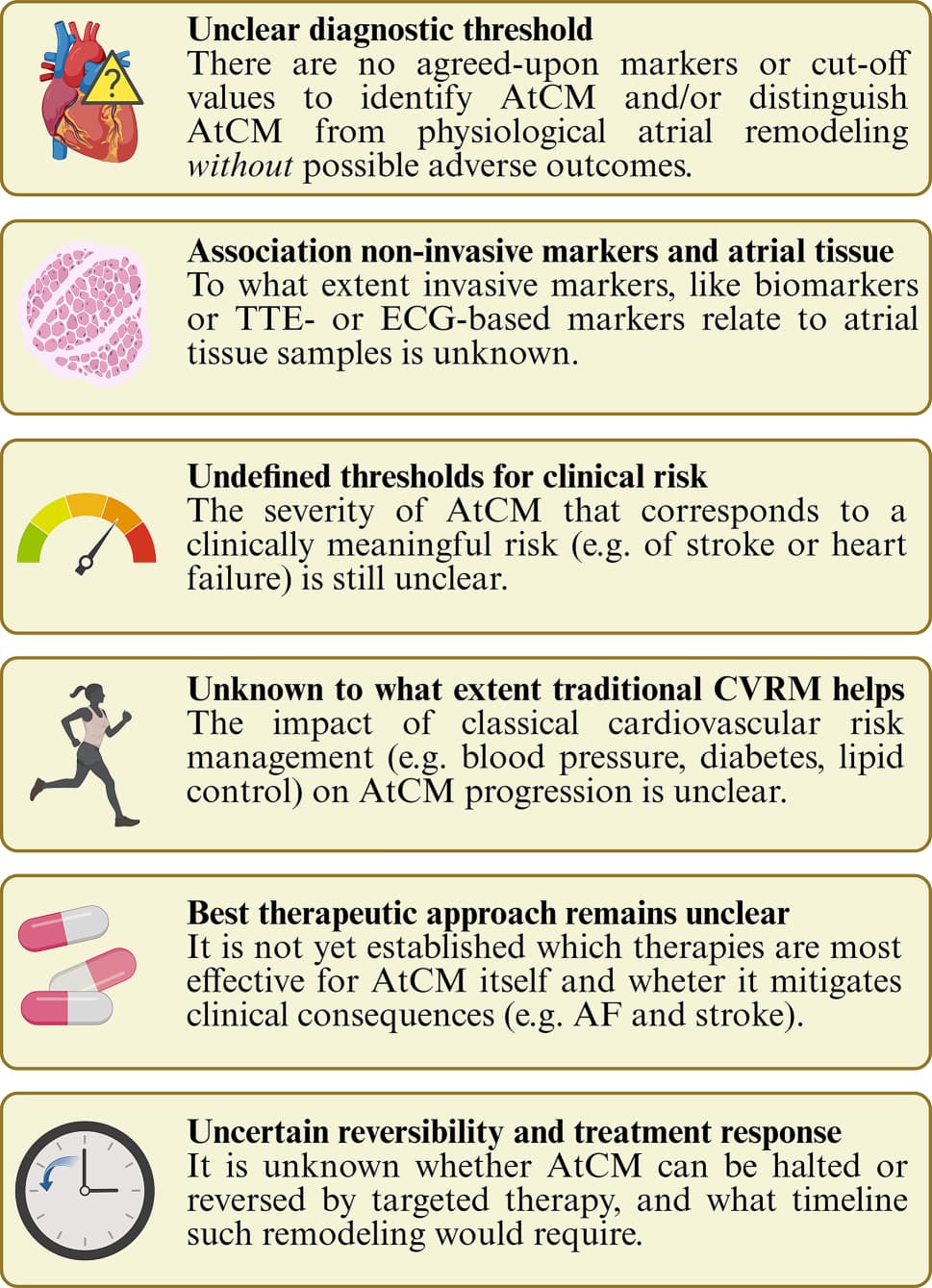 Figure 1 from Netherlands Heart Journal