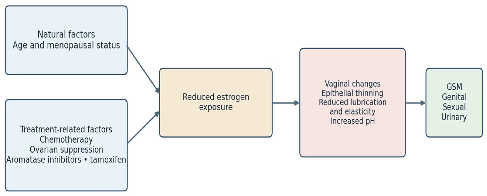 Figure 1. Interaction of age-related and treatment-related factors in the development of genitourinary syndrome of menopause among breast cancer survivors.