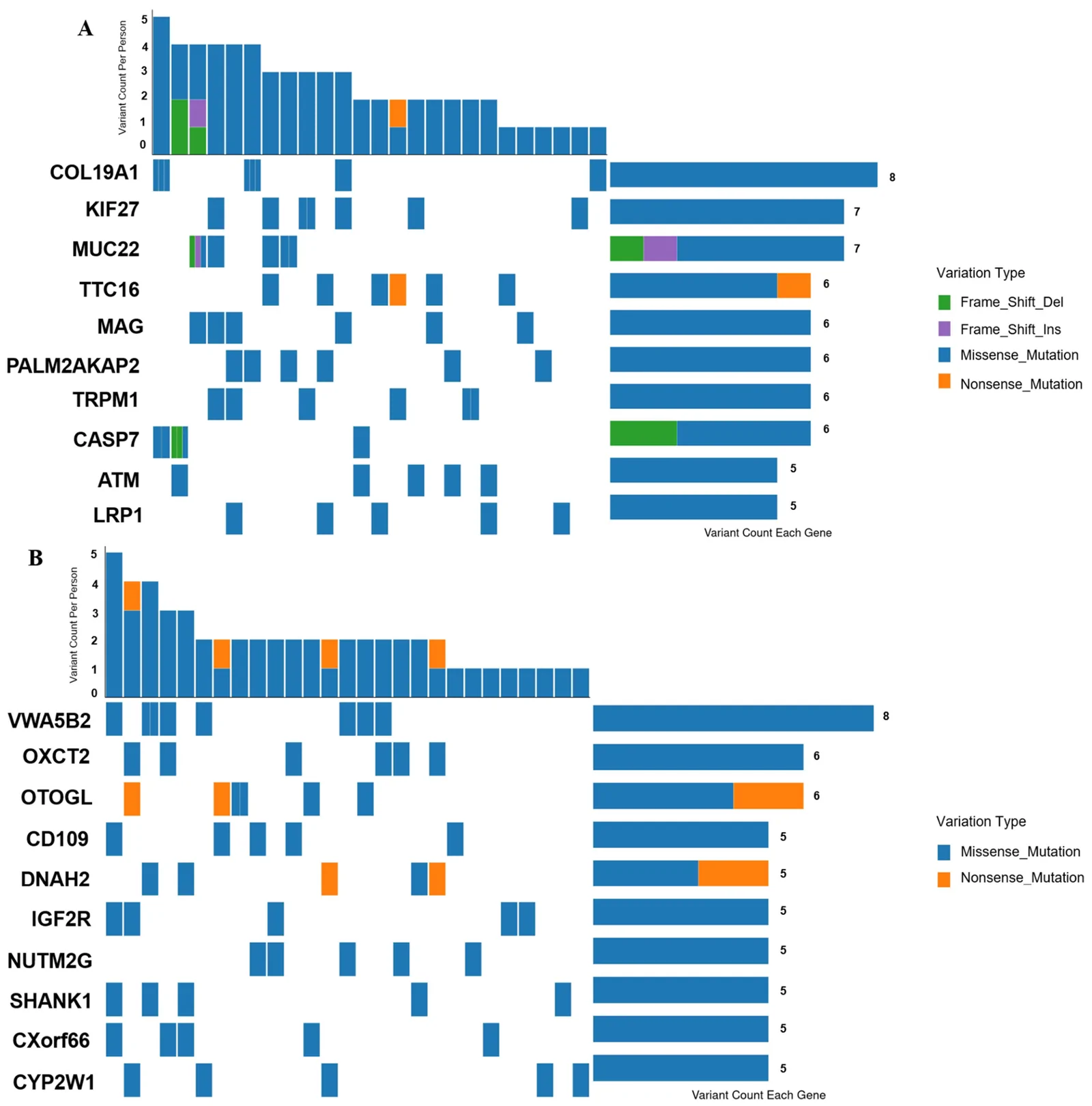 Figure 1. Genes with the highest numbers of qualifying rare coding variant observations detected in only one study group.