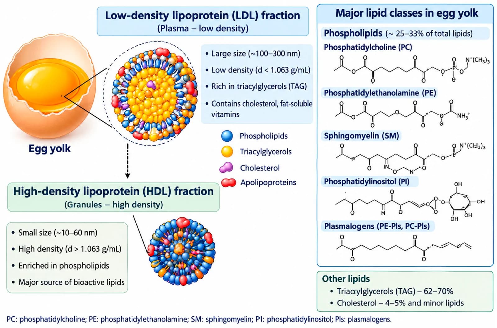Figure 1. Molecular architecture of egg-yolk lipids.