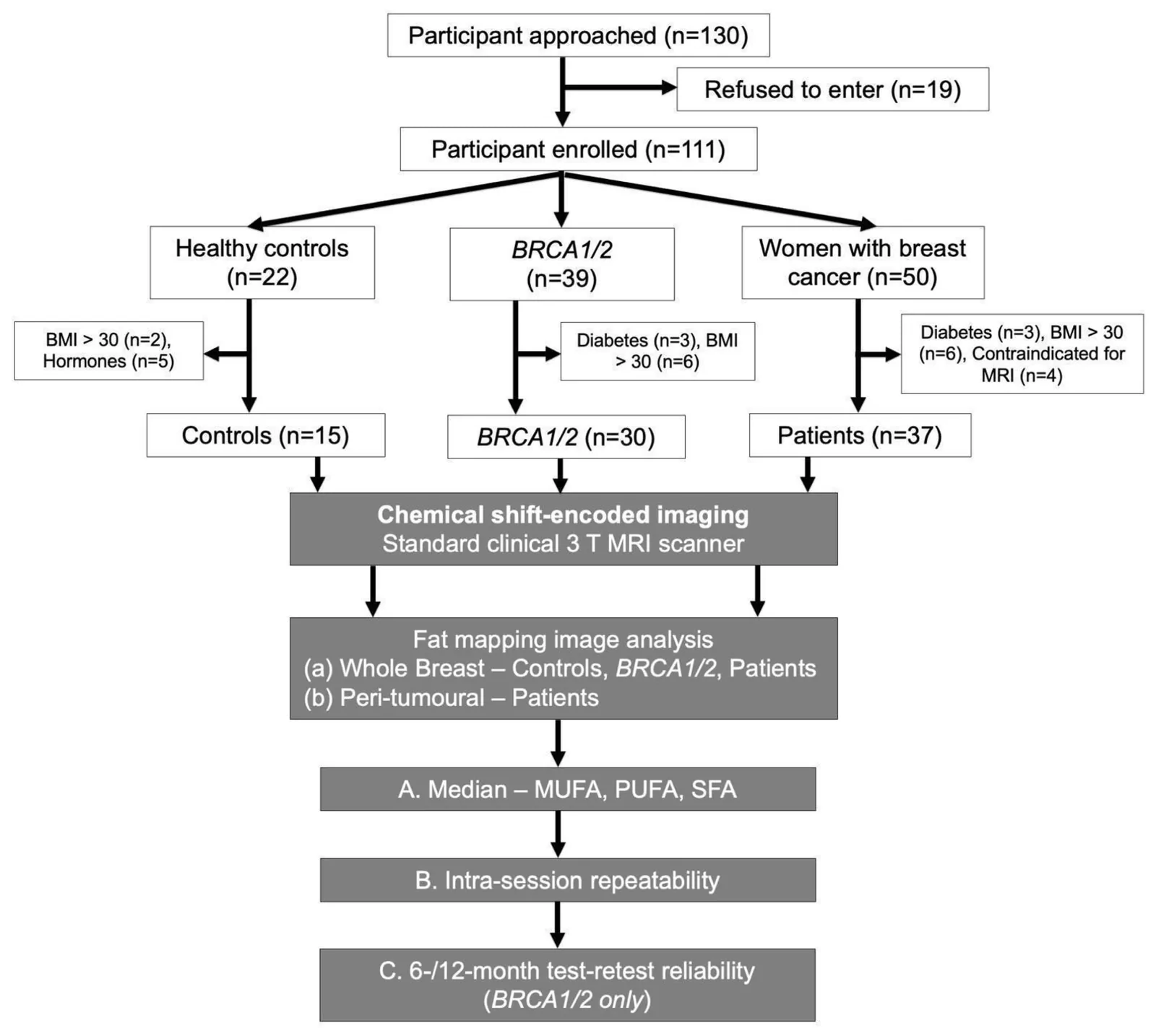 Figure 1. Study design. Eighty-two premenopausal female participants, 30 BRCA1/2 genetic mutation carriers, 37 patients with invasive ductal carcinoma, and 15 healthy controls, took part in the study after…