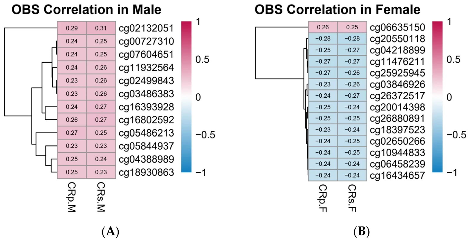 Figure 1. Sex-stratified heatmaps of OBS-associated CpG sites in the KoGES cohort.