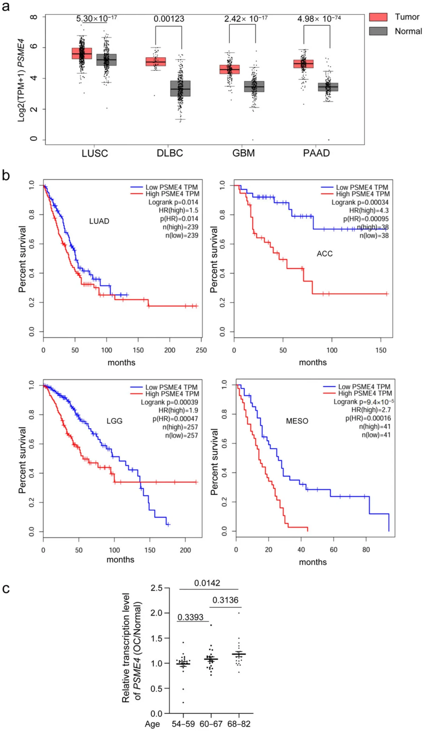Figure 1. Elevated PA200 expression in human cancers is correlated with poor patient survival and advanced age.