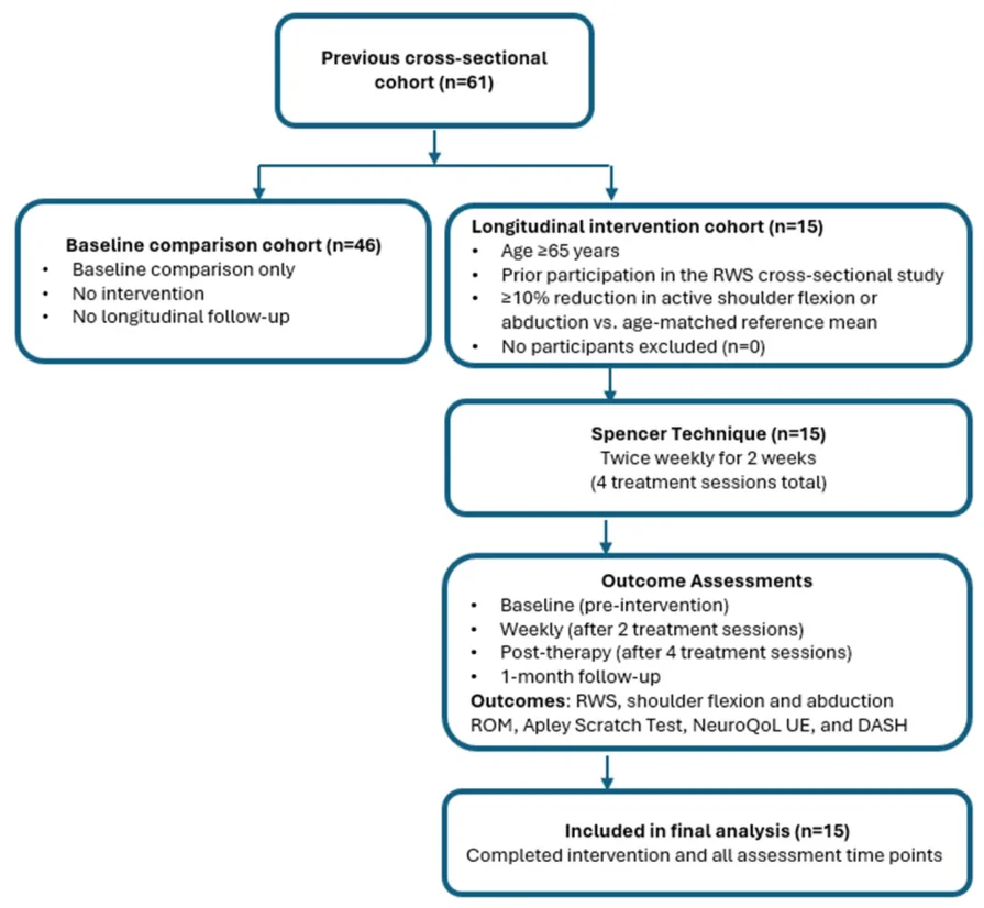 Figure 1. Participant flow and study assessment timeline.