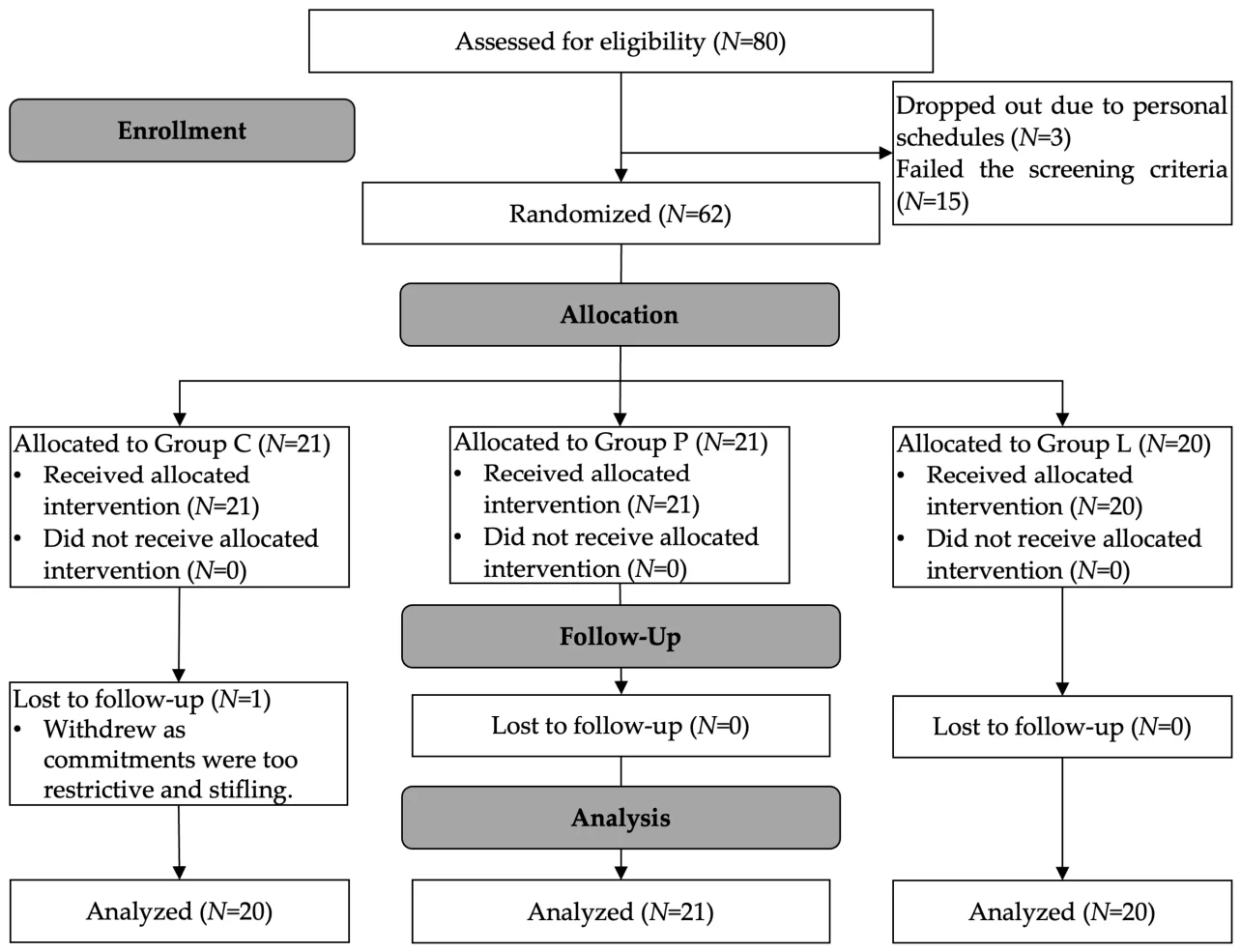 Figure 1. CONSORT participant flow diagram.
