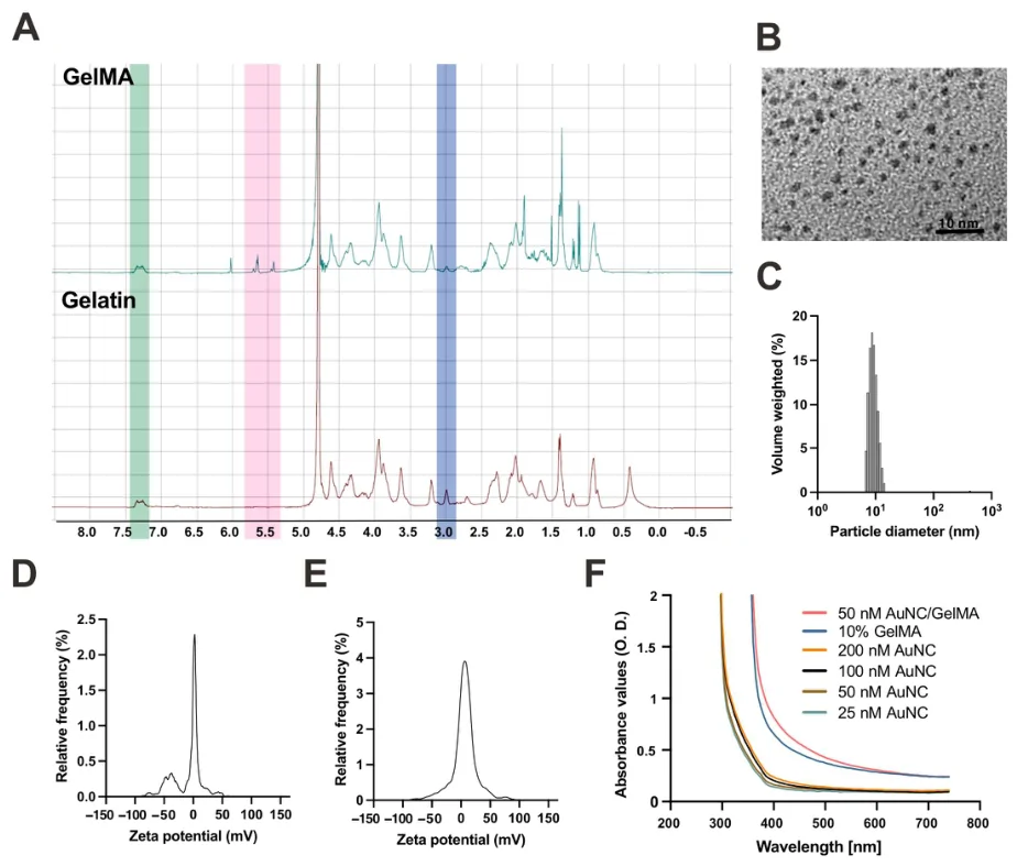 Figure 1. Physicochemical characterization of GelMA and AuNC@DHLA.