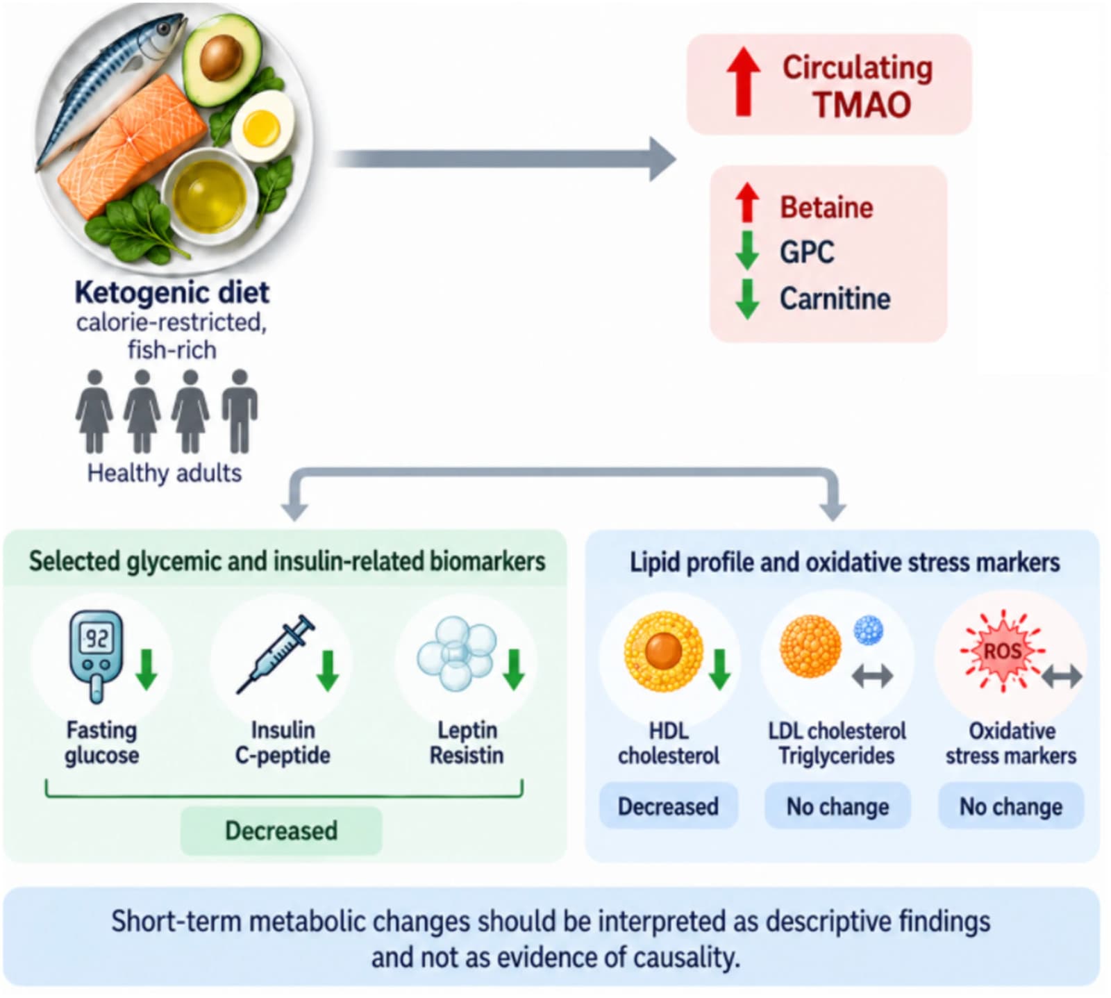 Graphical abstract from Endocrinology, Diabetes & Metabolism