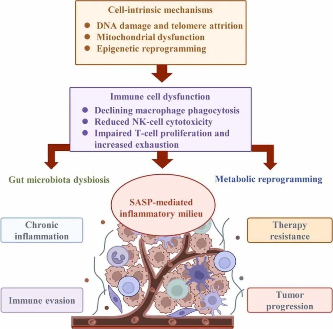 Graphical abstract from Cytokine & Growth Factor Reviews