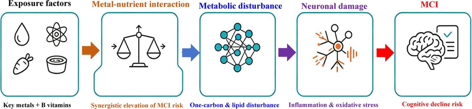 Graphical abstract from Environmental Pollution