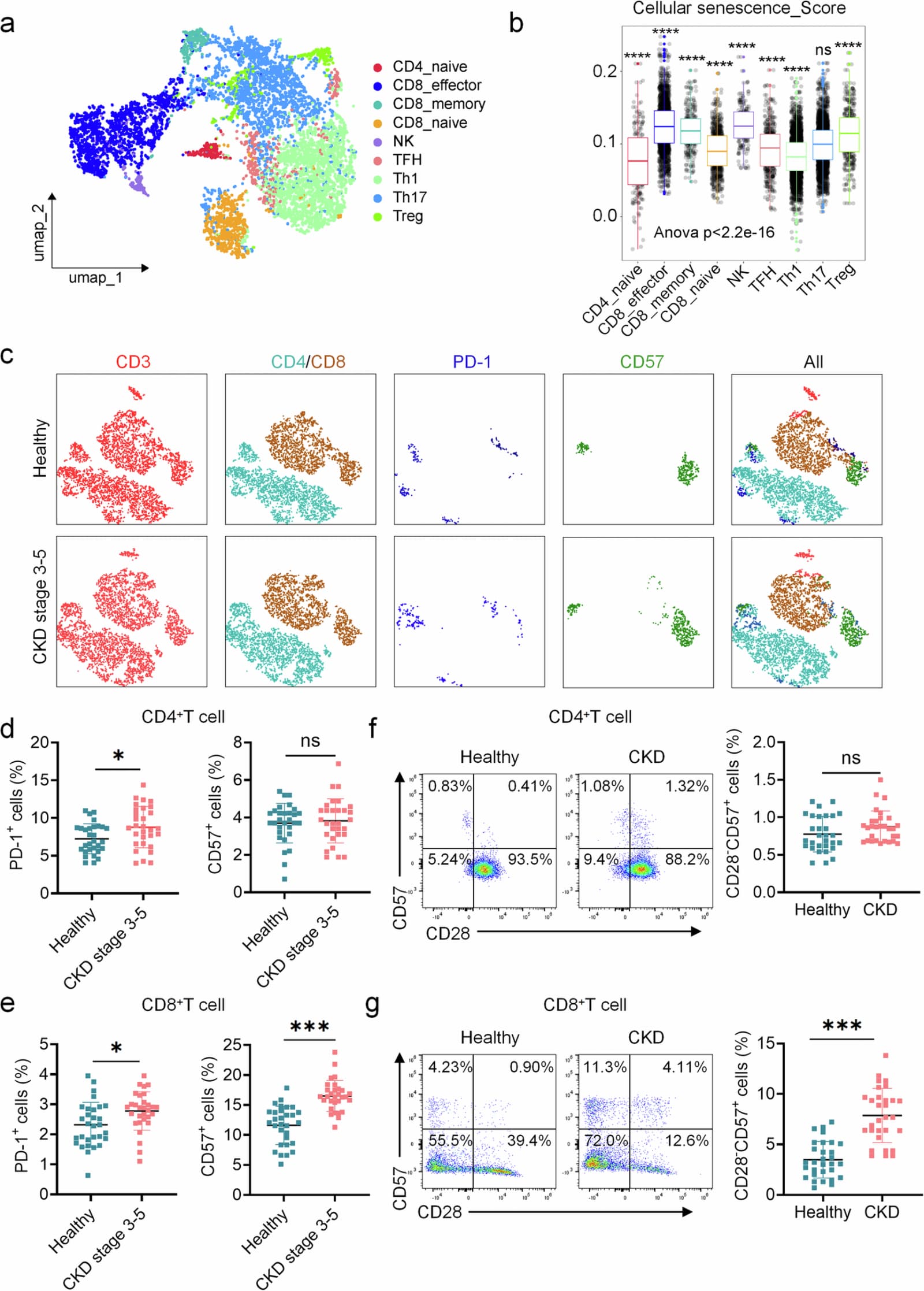 Figure 1 from Experimental & Molecular Medicine