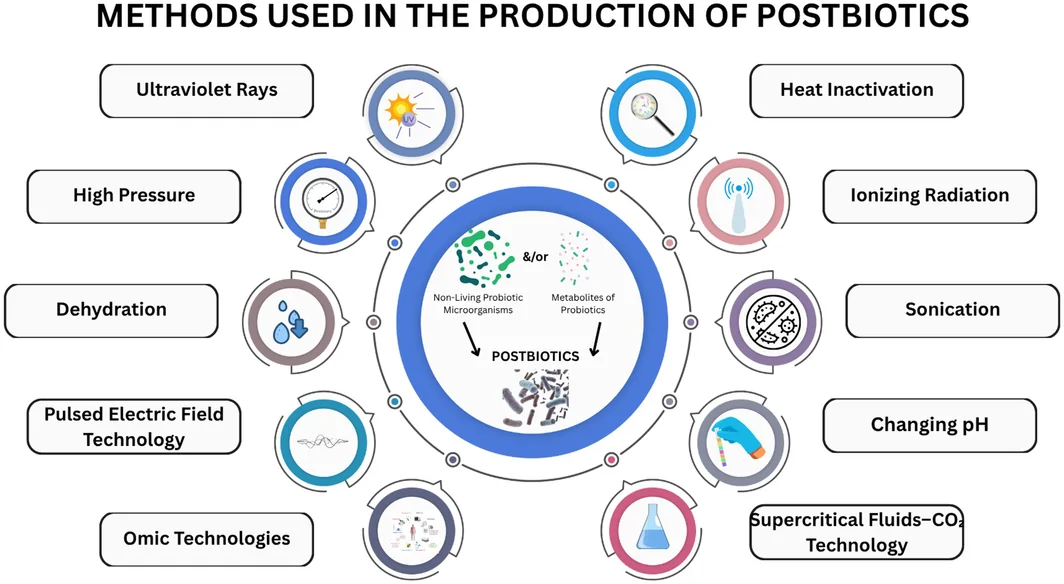 Figure 1. Production techniques involved in postbiotic manufacturing, such as microbial fermentation followed by cell disruption methods such as sonication, high‐pressure processing, ionizing and ultraviolet…