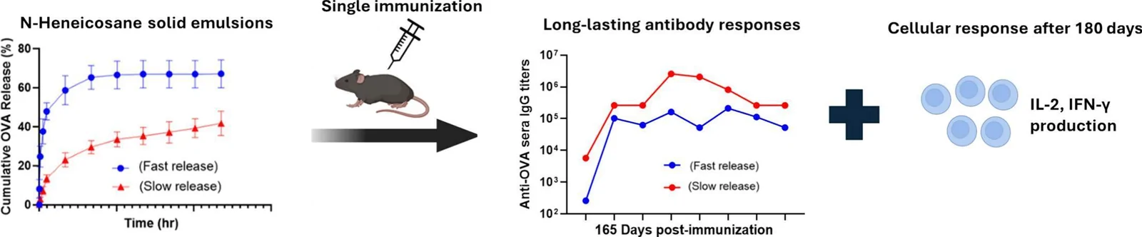Graphical abstract from International Journal of Pharmaceutics